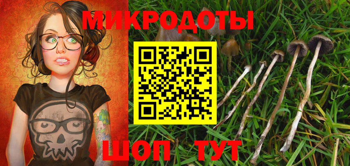 Псилоцибиновые грибы мухоморы Кудрово