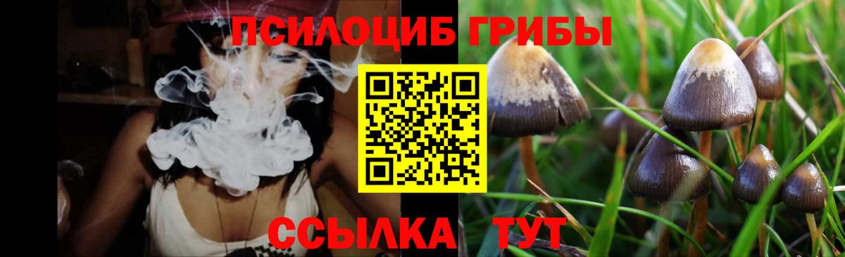 Кудрово  Псилоцибиновые грибы Magic Shrooms  Галлюциногенные грибы Magic Shrooms  Вход с VPN 